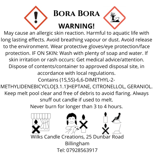 Bora Bora Scented Candle image 1