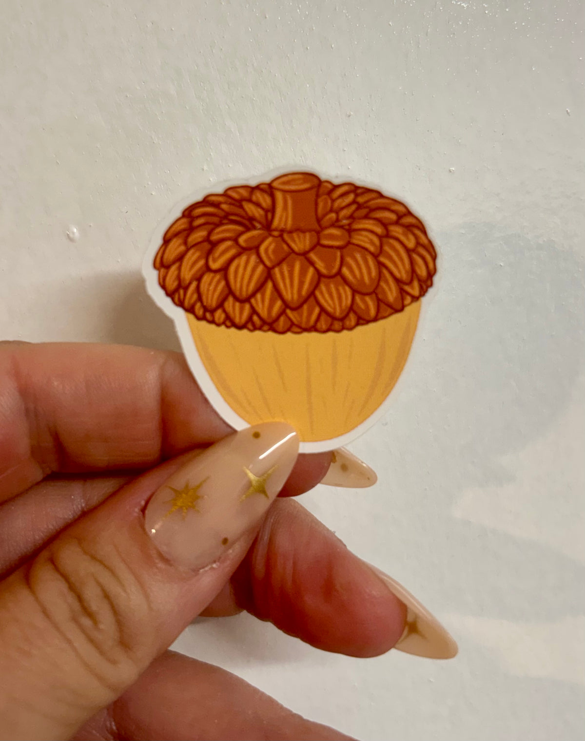 Acorn Die-Cut Sticker