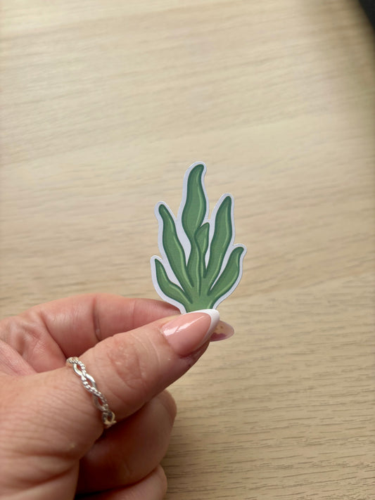Seaweed Vinyl Sticker