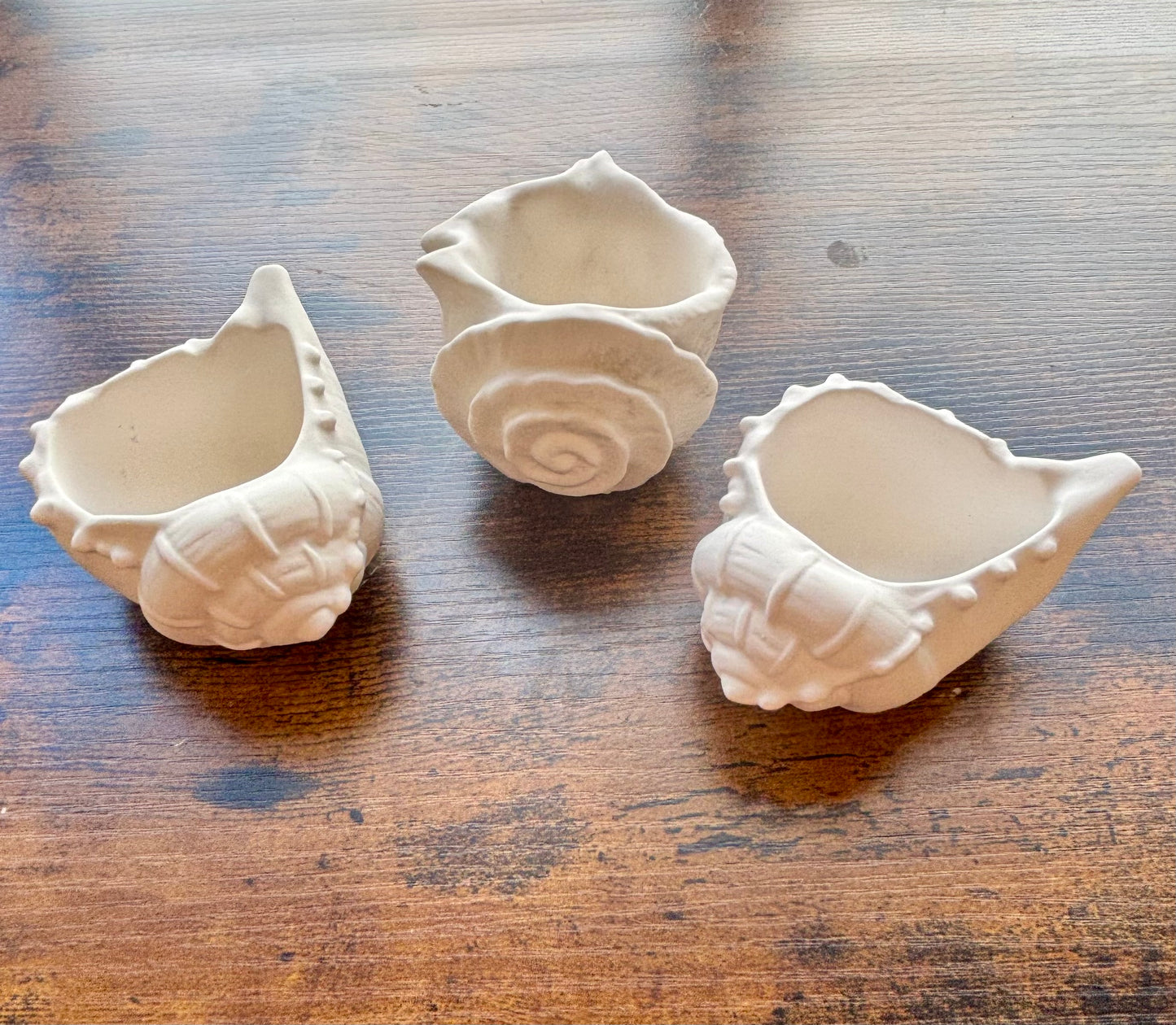 Under the Sea Shell Trio | Handmade Decorative Candle Set